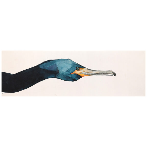 Great Cormoran Head - Image 3
