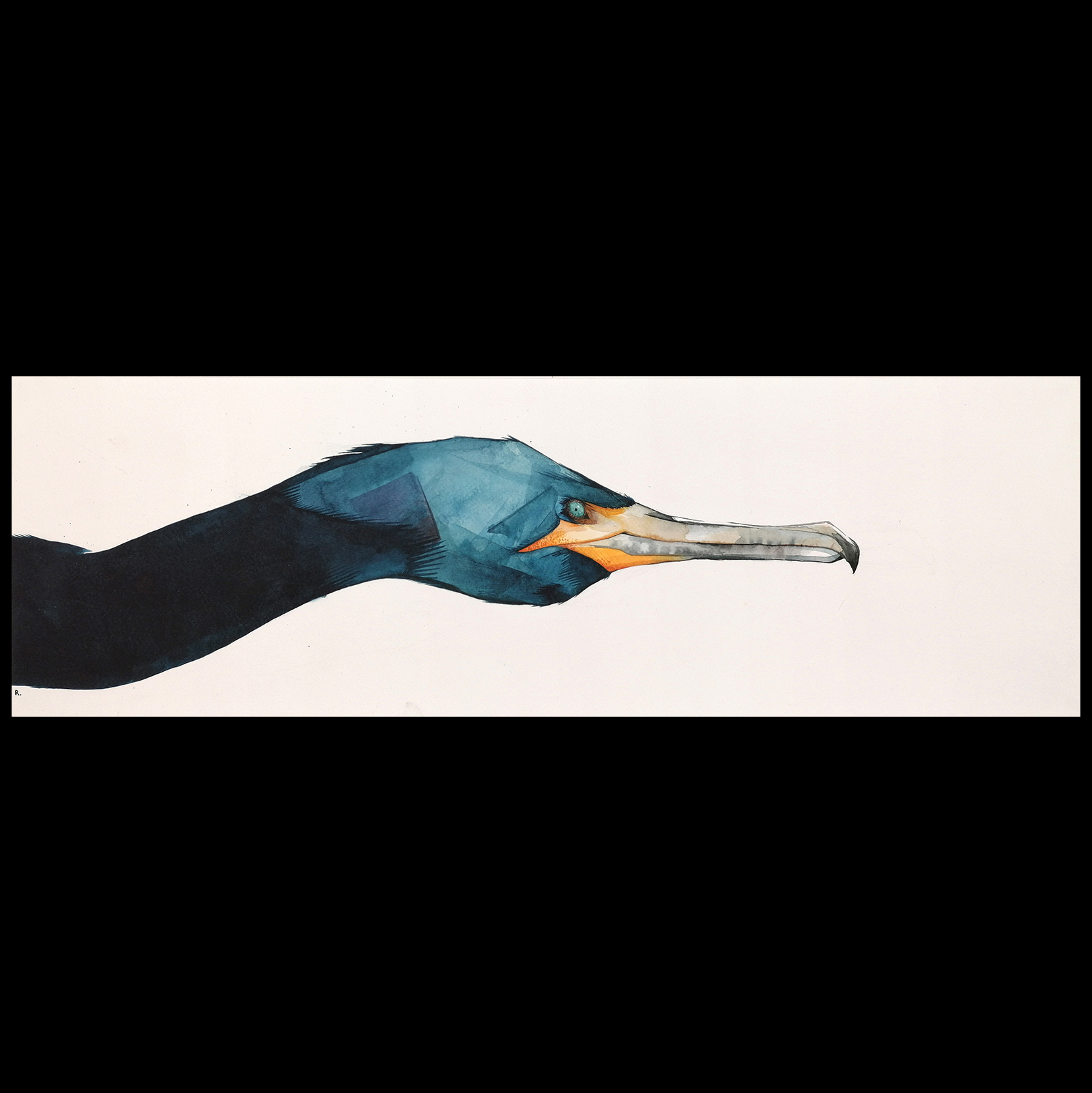 Great Cormoran Head - Image 2