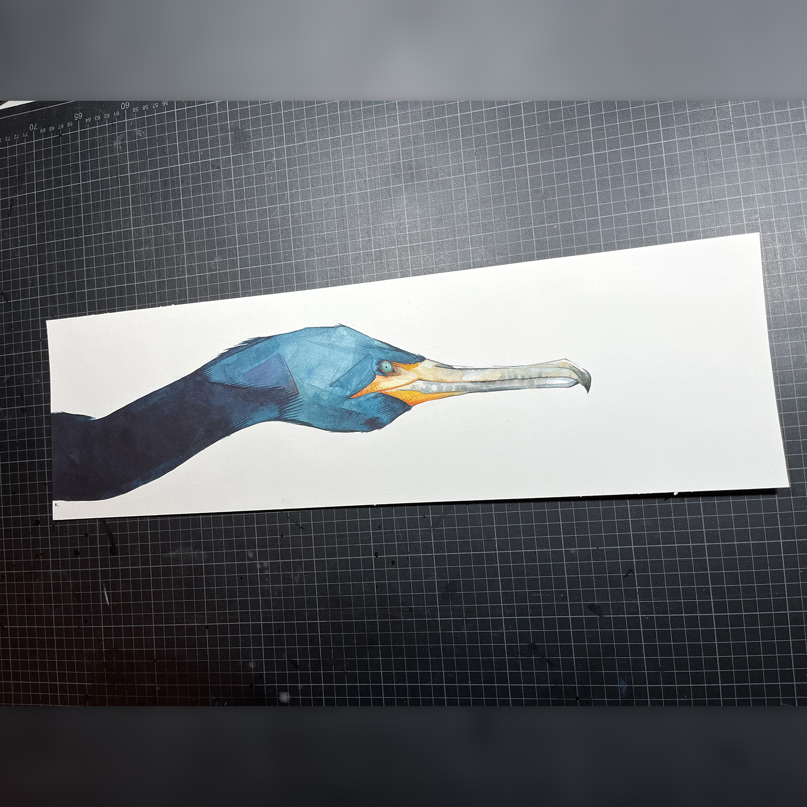 Great Cormoran Head - Image 4