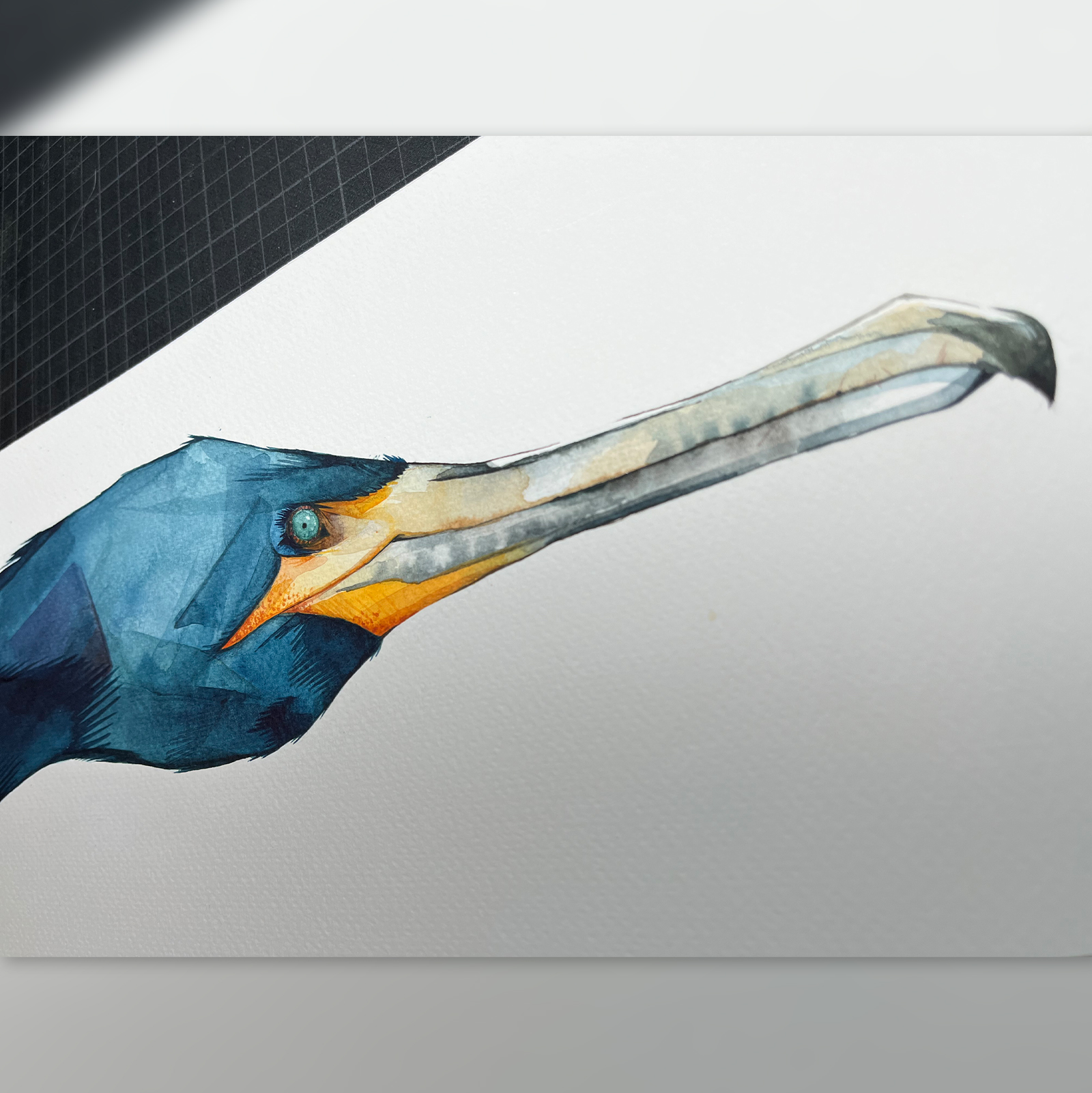 Great Cormoran Head - Image 5