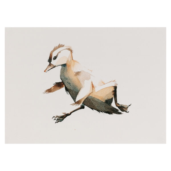 mandarin duck falling 1 - Image 3