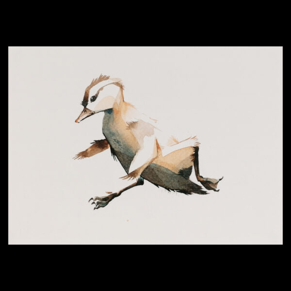 mandarin duck falling 1 - Image 2