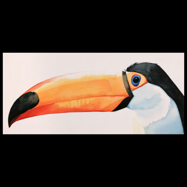 Toco Toucan Head - Image 2