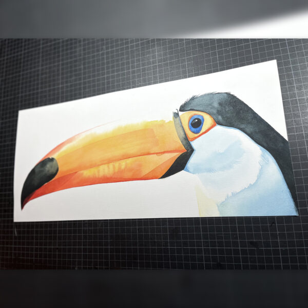 Toco Toucan Head - Image 4