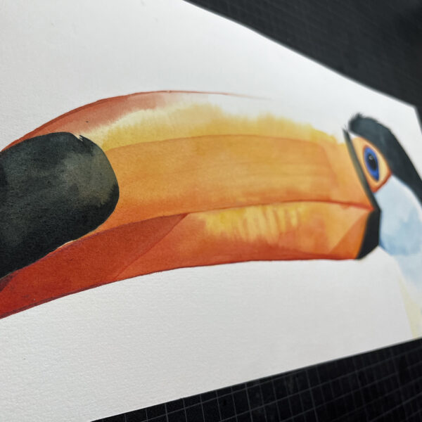 Toco Toucan Head - Image 5